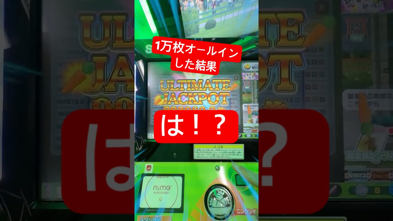 帰る直前に1万枚メダルオールインしたら超衝撃の大当たり！？　#ンダホ #starhorse
