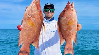 One of the Hardest Fish to Catch on Hook & Line (Hogfish)