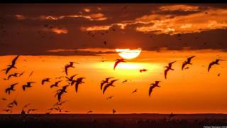 Trent Reznor &amp; Atticus Ross - A minute to breathe (HD)