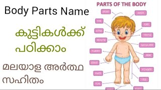 Body Parts name for kids in English and malayalam