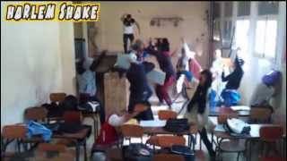 preview picture of video 'Harlem Shake From ALGERIA 2013 ( High School )'