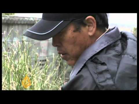 Residents return to Japan radiation zone