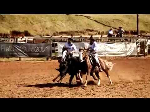 8th Place Males - Chestnut Tree Avatar / Chapecó/SC Qualifying - 2017