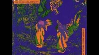 Del Tha Funkee Homosapien-The Wacky World Of Rapid Transit