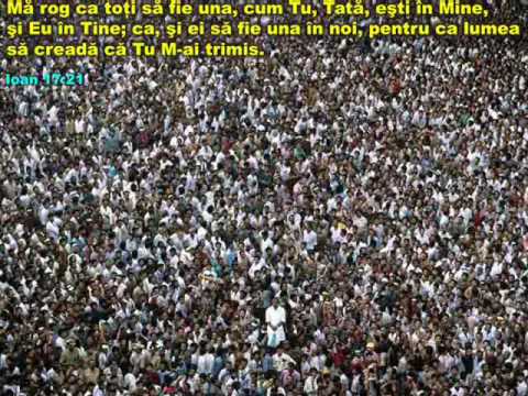 FRATII PIT - CANTAREA CEA NOUA