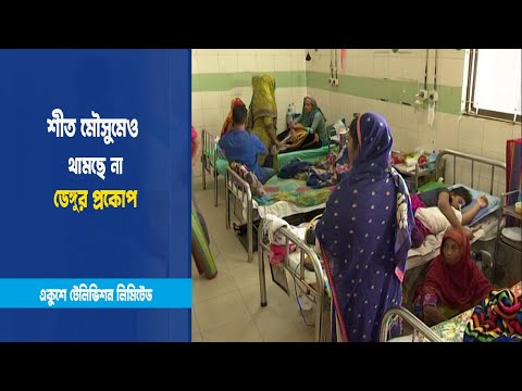 থামছে না ডেঙ্গুর প্রকোপ