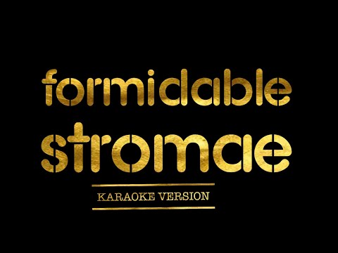 Stromae - Formidable (Karaoke Version)