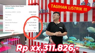DI LUAR EKSPEKTASI !!! TAGIHAN LISTRIK MARKAS JAMM  VLOG UNTUK PEMELIHARAAN IKAN PREDATOR