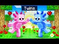 Playing Minecraft with AXY’S TWIN BROTHER!