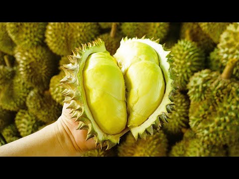 Crazy Speed!! Amazing Durian Cutting Skills Master!! - Thai Street Food