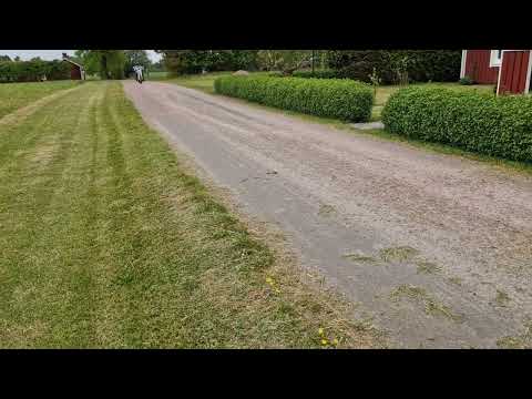 Videoklipp