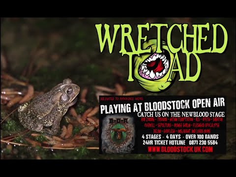 Wretched Toad - Weird-Faced Hedgehog - Bloodstock Promo