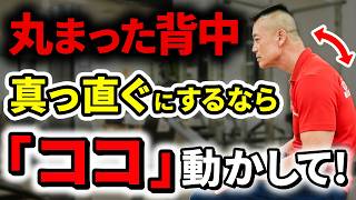 【猫背解消】老化で丸くなった背中を真っ直ぐにするなら、「ココ」を動かしてください！