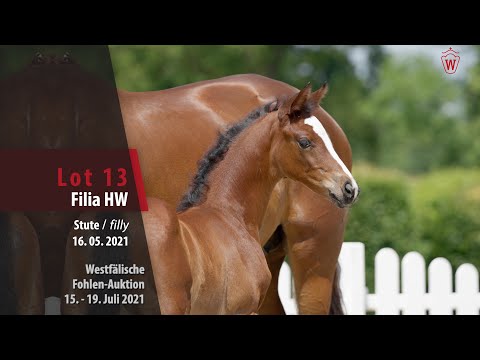 Westfälische Fohlen-Auktion Lot 13 Filia HW Stute v. Franziskus - De Niro