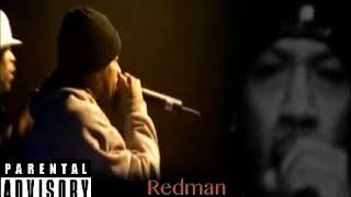 Redman - The Saga Continues (Methodman - Perfect World Remix)