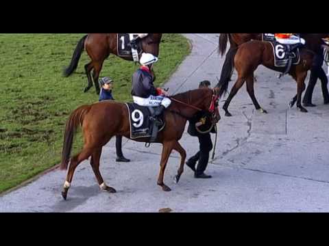 Belmont Park, 23/07/2016 - Race 7 - AUDIENCE - Justin Warwick & William Pike