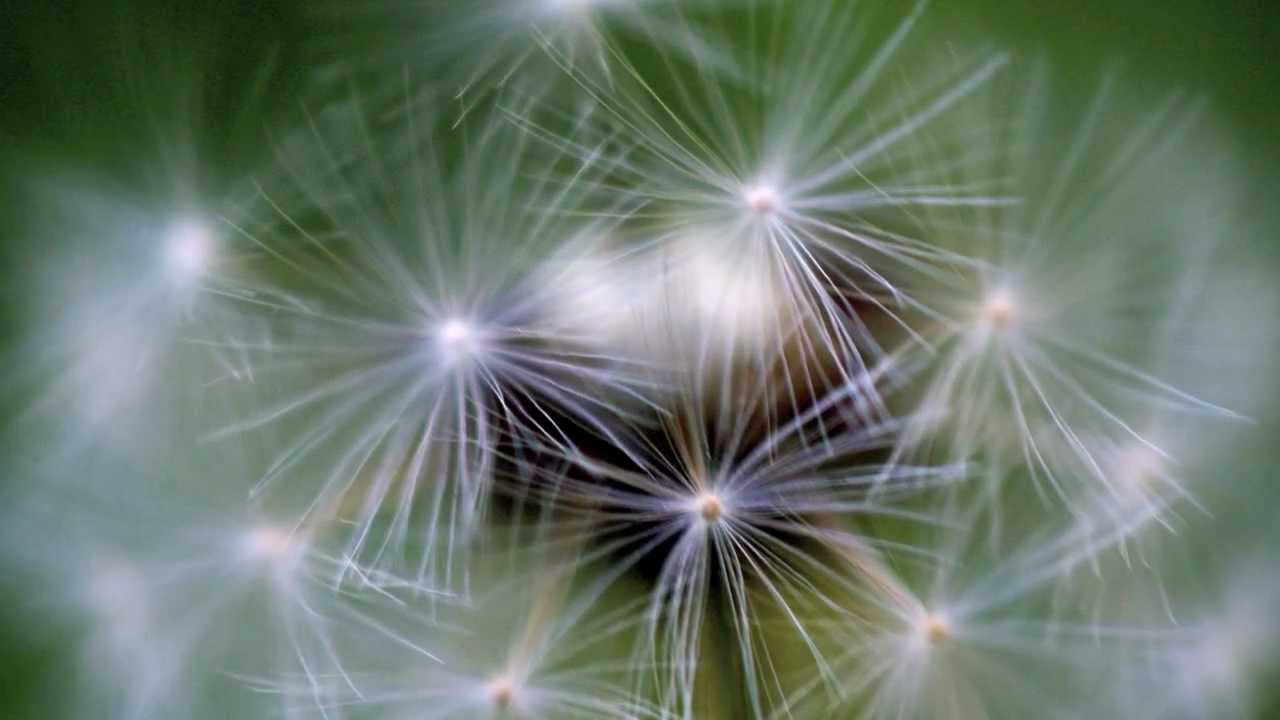 Yeh Karen Aur Wo Karen Lyrics  | Beyond Time | Jagjit Singh, Chitra Singh | Chitra Singh (Chitra Dutta), Jagjit Singh | Jagjit Singh