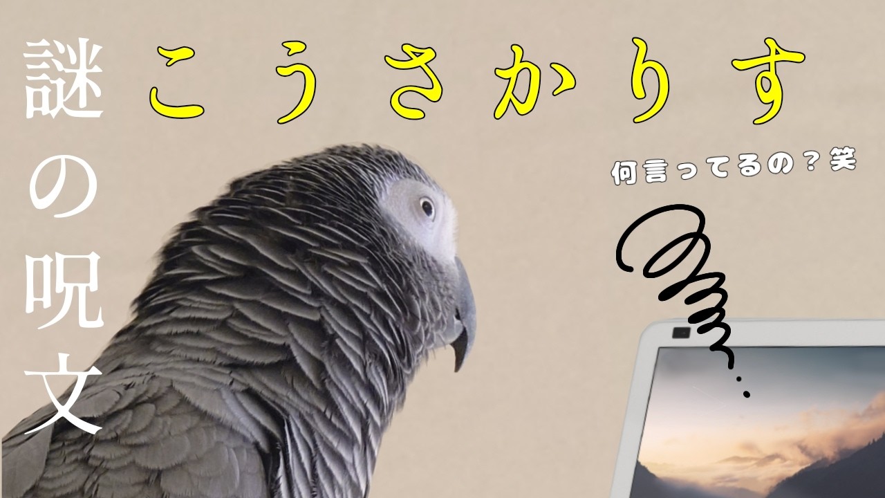 【爆笑】謎の呪文「こうさかりす」連発ｗアレクサ困惑の正体は？