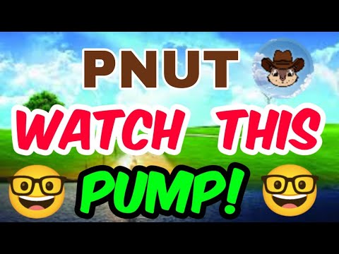 Pnut coin News Today! Pnut Price Prediction