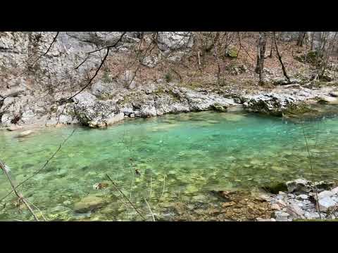 River Komarnica, fishing and eating 👍