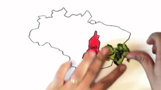 Conhecendo os Presidentes - Ep. 10: Delfim Moreira