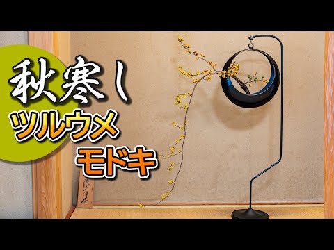 Kujavaについて詳しく解説