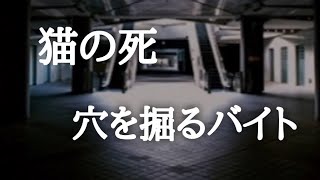 ‪ 【意味が分かると怖い話】猫の死と穴を掘るバイト
