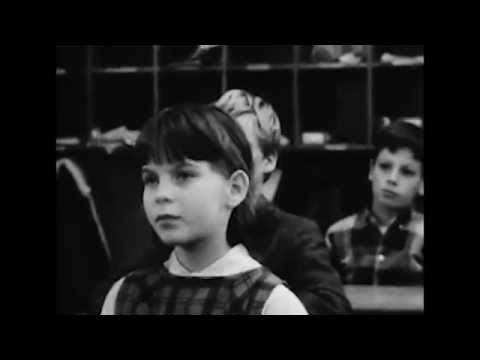 Vêstige - Neuschnee (Official Music Video)