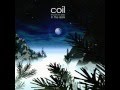Coil Musick - Broccoli [HD]. 