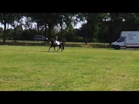 Holthausen Frodo met Geline Mellema 12 juli 2014