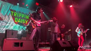 Tripping Daisy: Bang/ I Got a Girl