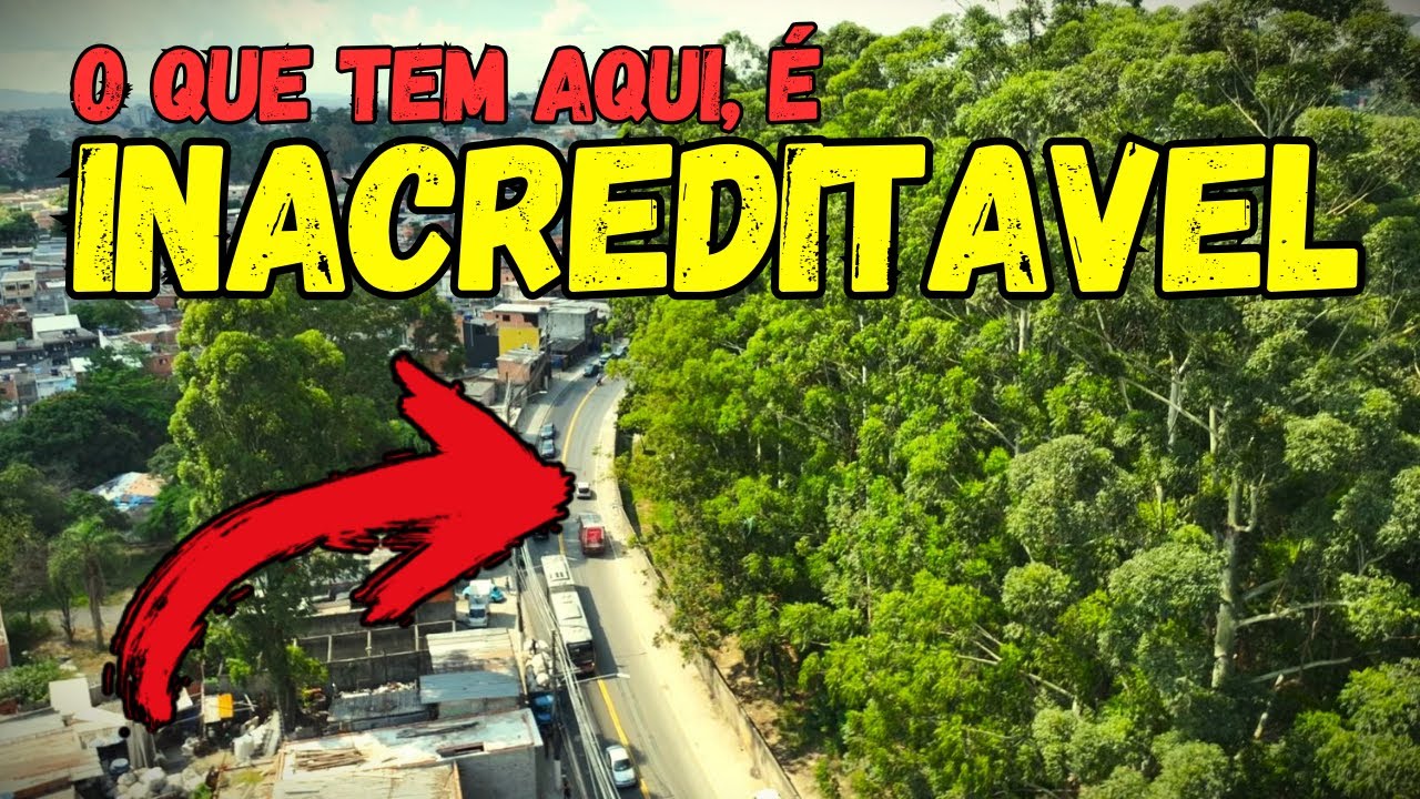 OLHA ISSO, O QUE O SER HUMANO É CAPAZ, VAI TE SURPREENDER