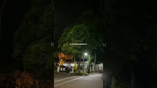 Download lagu lirik lagu terlambat sudah mp3
