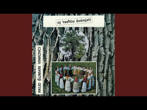 Ej, Kad Sam Sinoć, Išla Iz Dućana