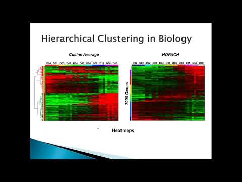 Fast Interactive Genomics Data Visualization in AltAnalyze