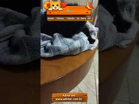 Vídeo de Mia
