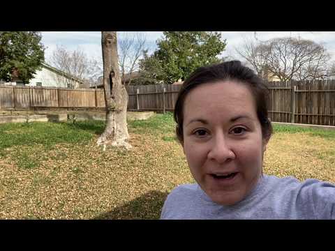 Rugged Ranch Poultry Waterer Review
