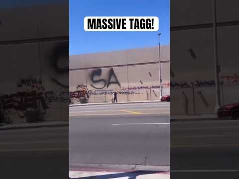 Graffiti Massive Tagg SANTO daytime action. @ohhsanto. #graffiti #graffitiart #shorts