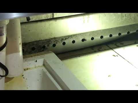 Cockroaches All Over the Garbage Room in Monmouth Beach, NJ