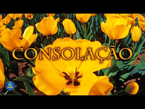 Consolação video