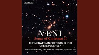 The Infant King (Arr. D. Willcocks &amp; G. Pedersen for Solo Voice, Choir &amp; Chamber Ensemble)