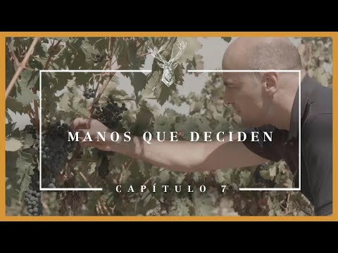 Serie Manos #7: The vintage moment I El Coto de Rioja