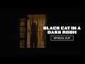 Black Cat in a Dark Room | Trailer