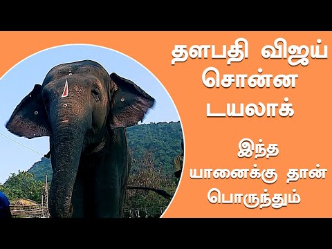 Saravanaprasath Script video - Yaanaigal puthunarchi mugaam !