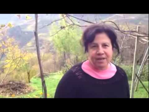 Frana sulla strada per Piazzole, frazione di Lona Lases