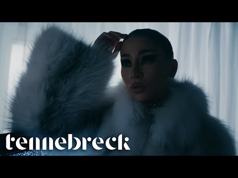 Nicole Cherry x Carla's Dreams - Din cauza ta (Tennebreck Remix)