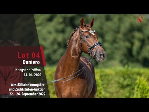 Online-Auktion Lot 04 Doiero Hengst v. Donier - Fidermark