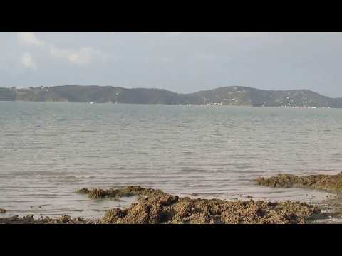 Scenic View - Maraetai coast - Auckland - New Zealand.