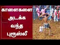 காளைகளை அடக்க வந்த புரூஸ்லீ | | Jallikattu 2022 | Avaniyapuram Jallikatt