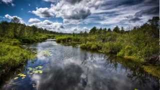 CANDY DULFER   Flame